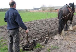 Man met paard en ploeg